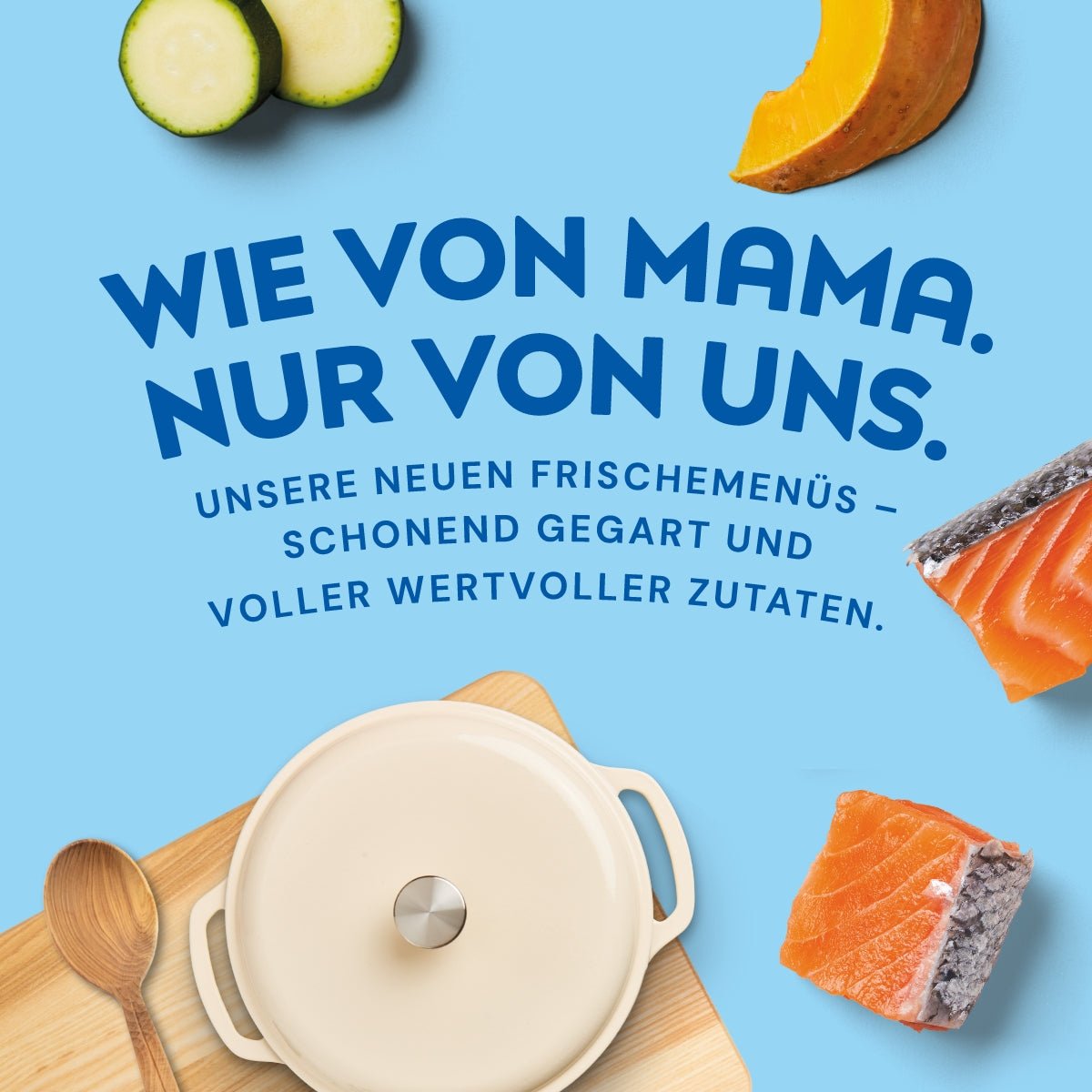 Nutriment Schonend gegarte Medaillons Lachs, Kürbis & Zucchini - haustidepoterkost.com®