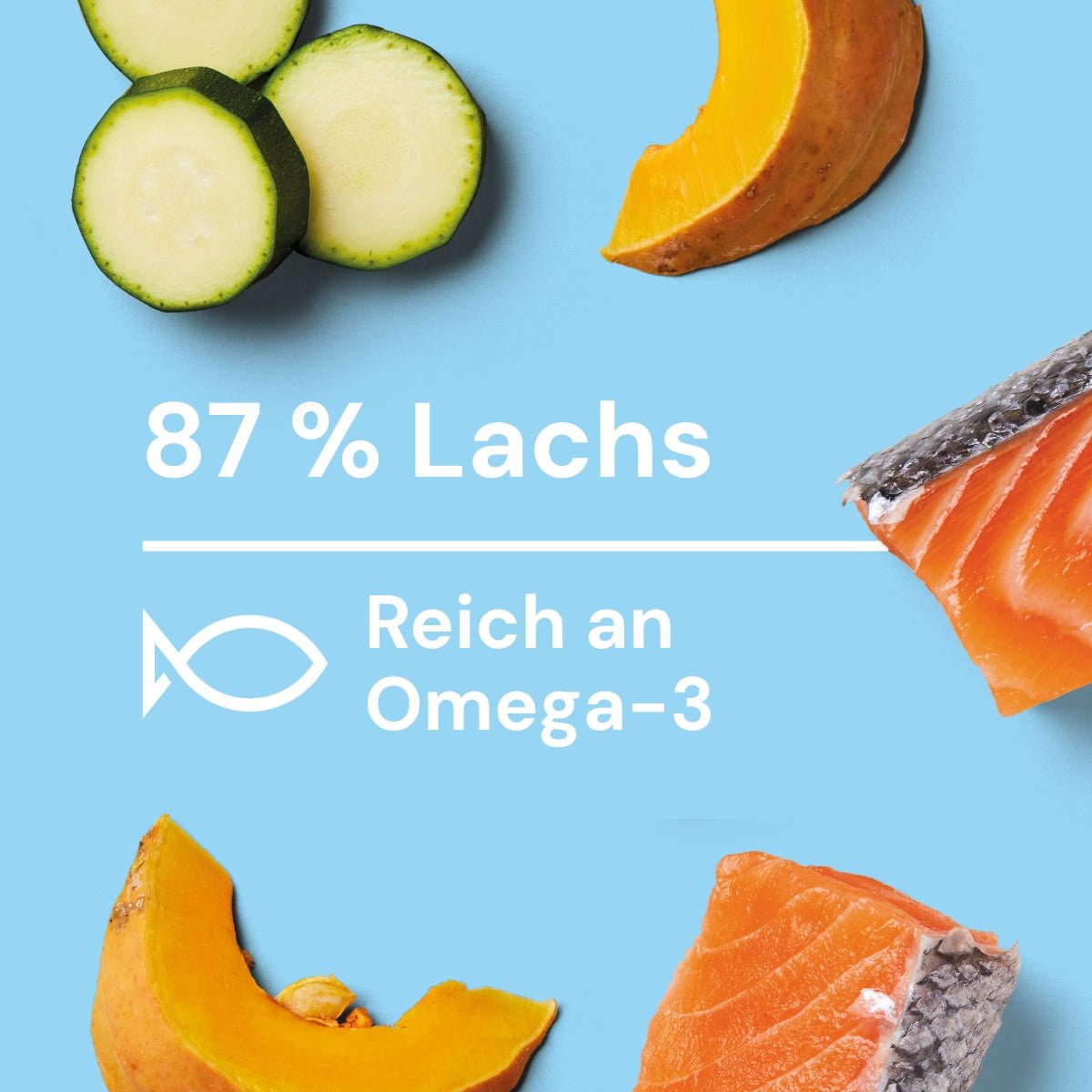 Nutriment Schonend gegarte Medaillons Lachs, Kürbis & Zucchini - haustidepoterkost.com®