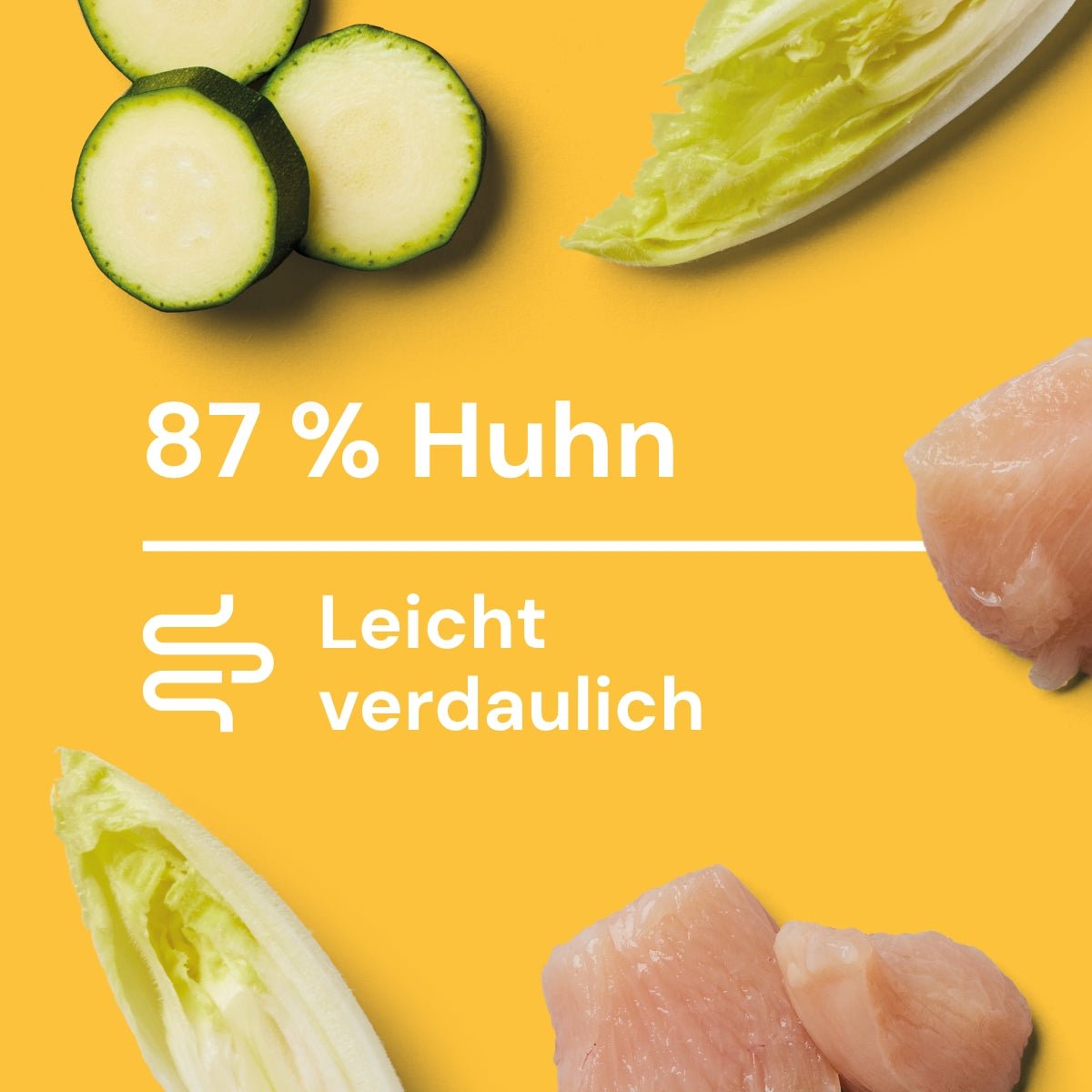 Nutriment Schonend gegarte Medaillons Huhn, Chicorée & Zucchini - haustidepoterkost.com®