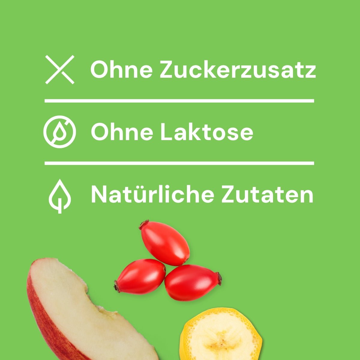 Nutriment HundeEis Apfel, Banane & Hagebutte - haustidepoterkost.com®