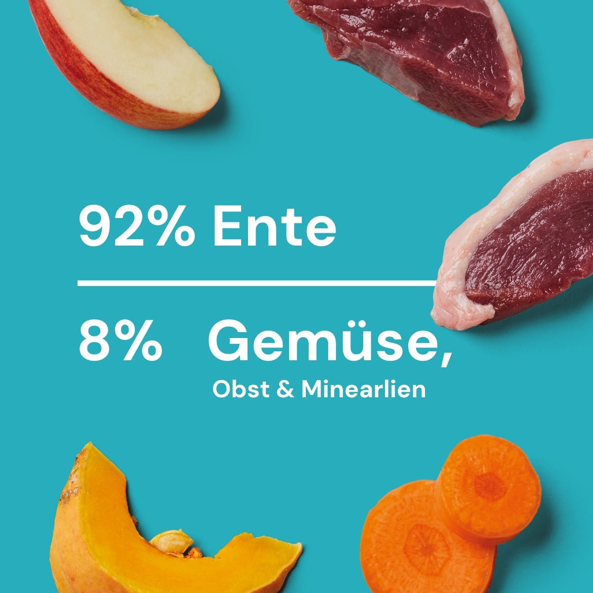 Nutriment Komfort-BARF Menü Ente, Chicorée & Spinat - haustidepoterkost.com®