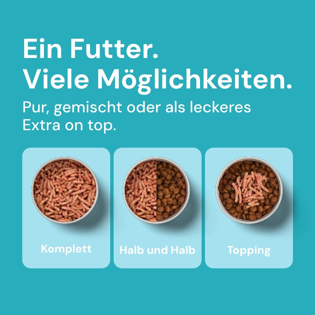 Nutriment Komfort-BARF Menü Ente, Chicorée & Spinat - haustidepoterkost.com®