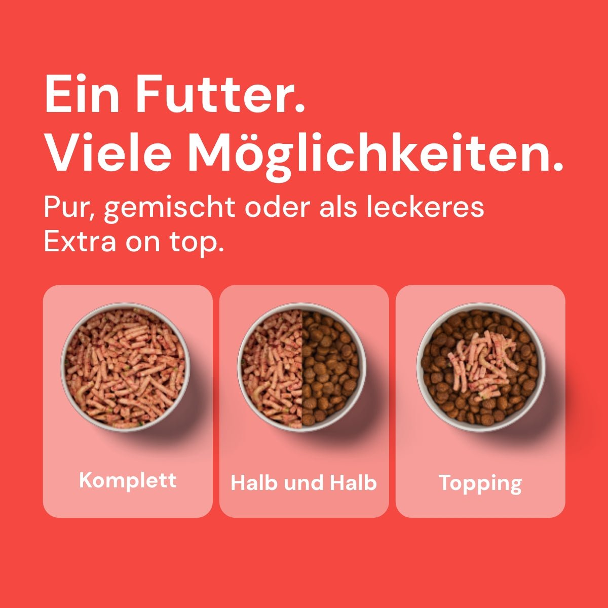 Nutriment Komfort-BARF Menü Rind, Kürbis & Chicorée - haustidepoterkost.com®