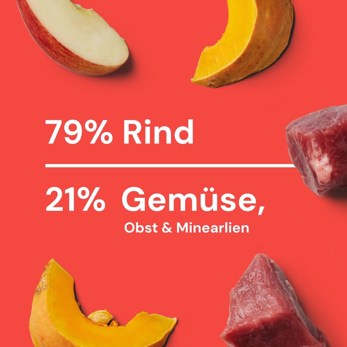 Nutriment Komfort-BARF Menü Rind, Kürbis & Chicorée - haustidepoterkost.com®