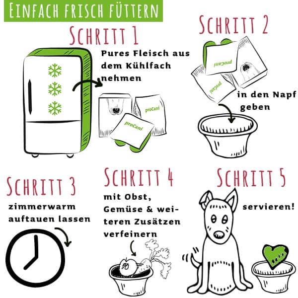 grüner simple BARF Pansen vom Rind für gesunde Hundeverdauung und Immunsystem