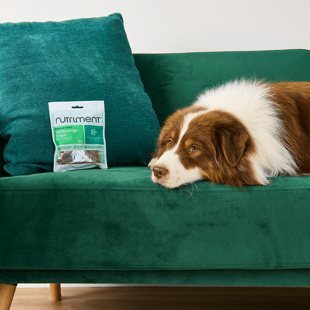 Nutriment Verdauungs-Snack - haustidepoterkost.com®