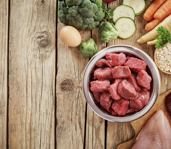 BARF-Mythos: Salmonellen im Rohfleisch - haustidepoterkost.com