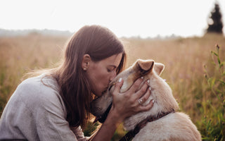 Wie wichtig ist Fett für den Hund? - haustidepoterkost.com