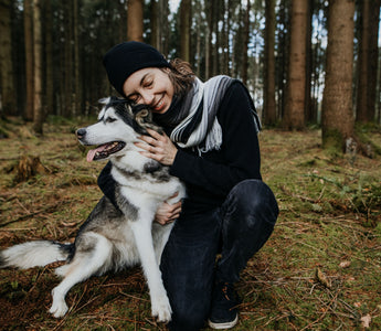 Clickertraining bei Katze und Hund - haustidepoterkost.com