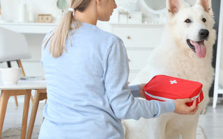 Erste Hilfe am Hund - haustidepoterkost.com