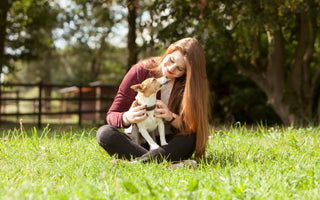 Hund mit Diabetes – was tun? - haustidepoterkost.com