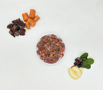 Hund mit Ernährungsberatung optimal füttern - haustidepoterkost.com