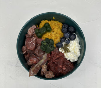 BARF: Jod ist wichtiger Bestandteil der Ernährung - haustidepoterkost.com