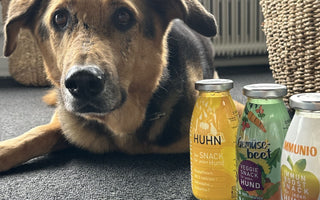 Hundesmoothies von SmoothieDog - haustidepoterkost.com
