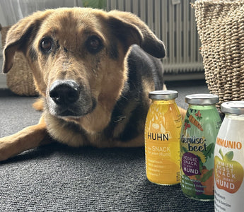 Hundesmoothies von SmoothieDog - haustidepoterkost.com