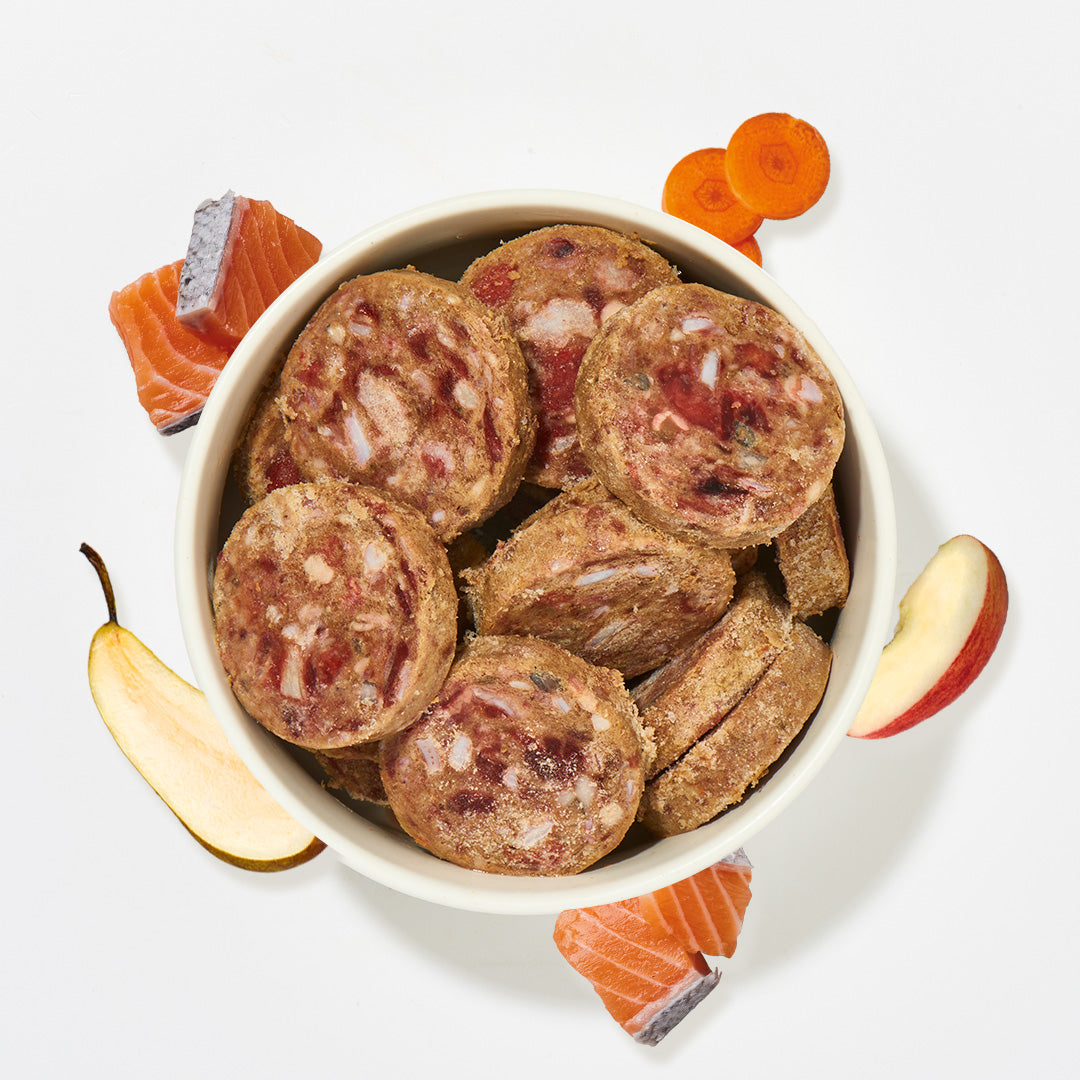 BARF Komfort PLUS Lachs Taler mit Lachsbauch, Karotten, Äpfeln und Birnen für Hunde