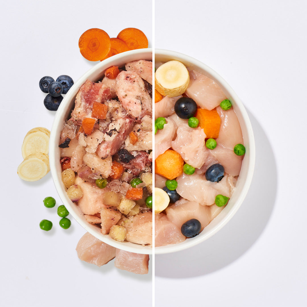 BARF Gourmet PLUS Huhn stückiges BARF-Komplettmenü mit Huhn, Gemüse und Obst, getreidefrei und ohne Zuckerzusatz, für artgerechte Rohfütterung von Hunden.