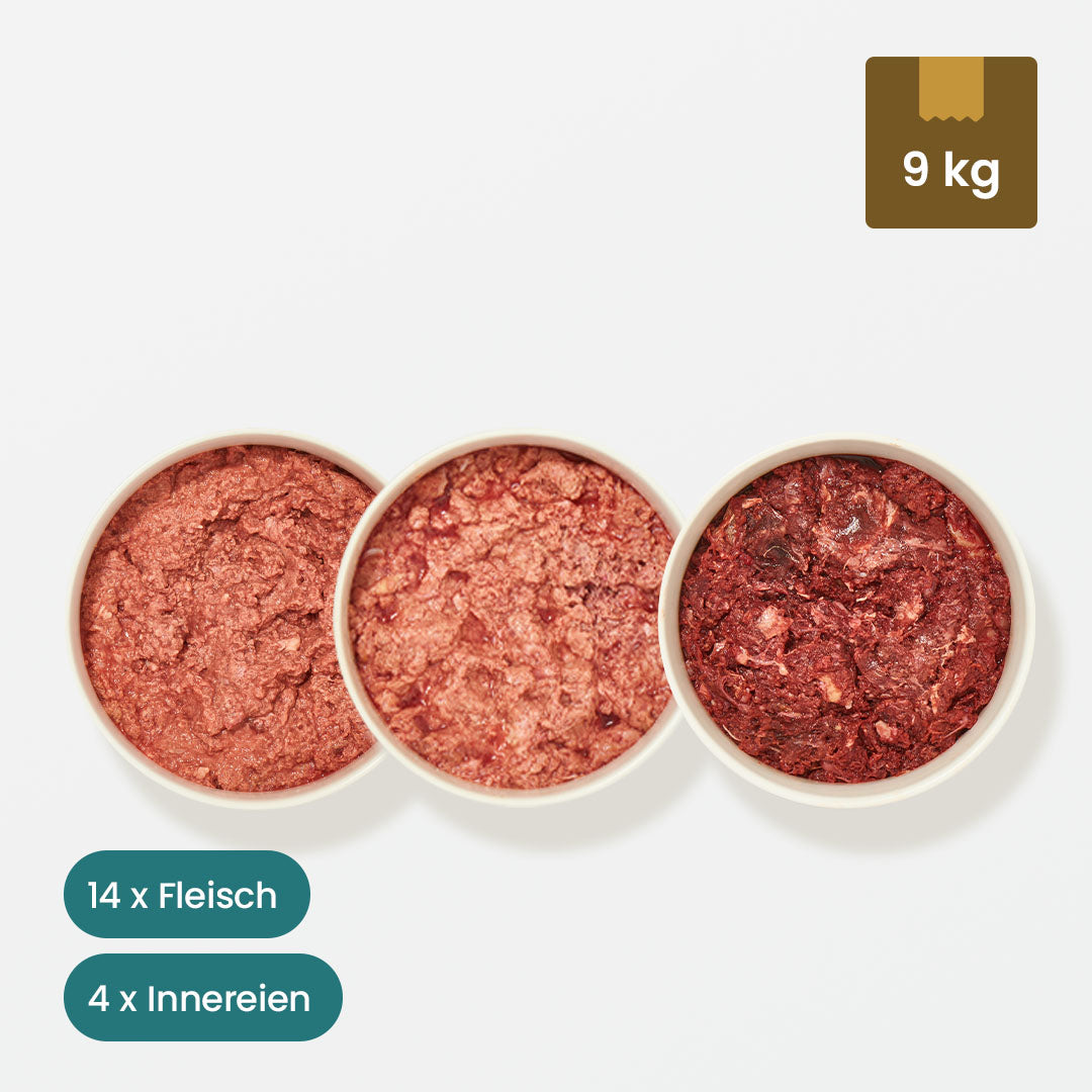 Paket Katze Allergie 9 kg mit Pferdefleisch, Wildfleischmischung, Truthahnfleisch, Geflügelinnereien und Rentierfleisch in Schalen