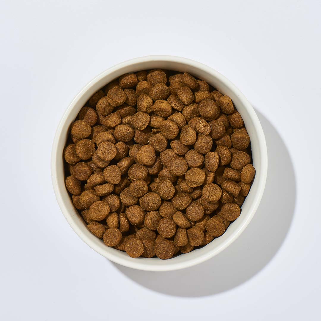 Hundefutter Hirsch & Kartoffel für empfindliche Hunde mit Omega-Fettsäuren, Biotin und Probiotika, ohne künstliche Zusatzstoffe