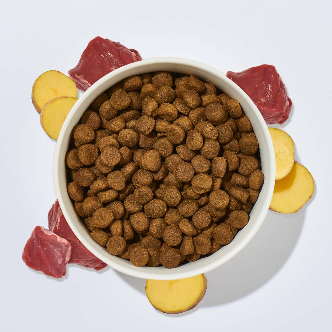 Hundefutter Hirsch und Kartoffel für empfindliche Hunde mit Allergieneigung und älteren Hunden, nährstoffreich mit Omega-Fettsäuren, Biotin und Probiotika.