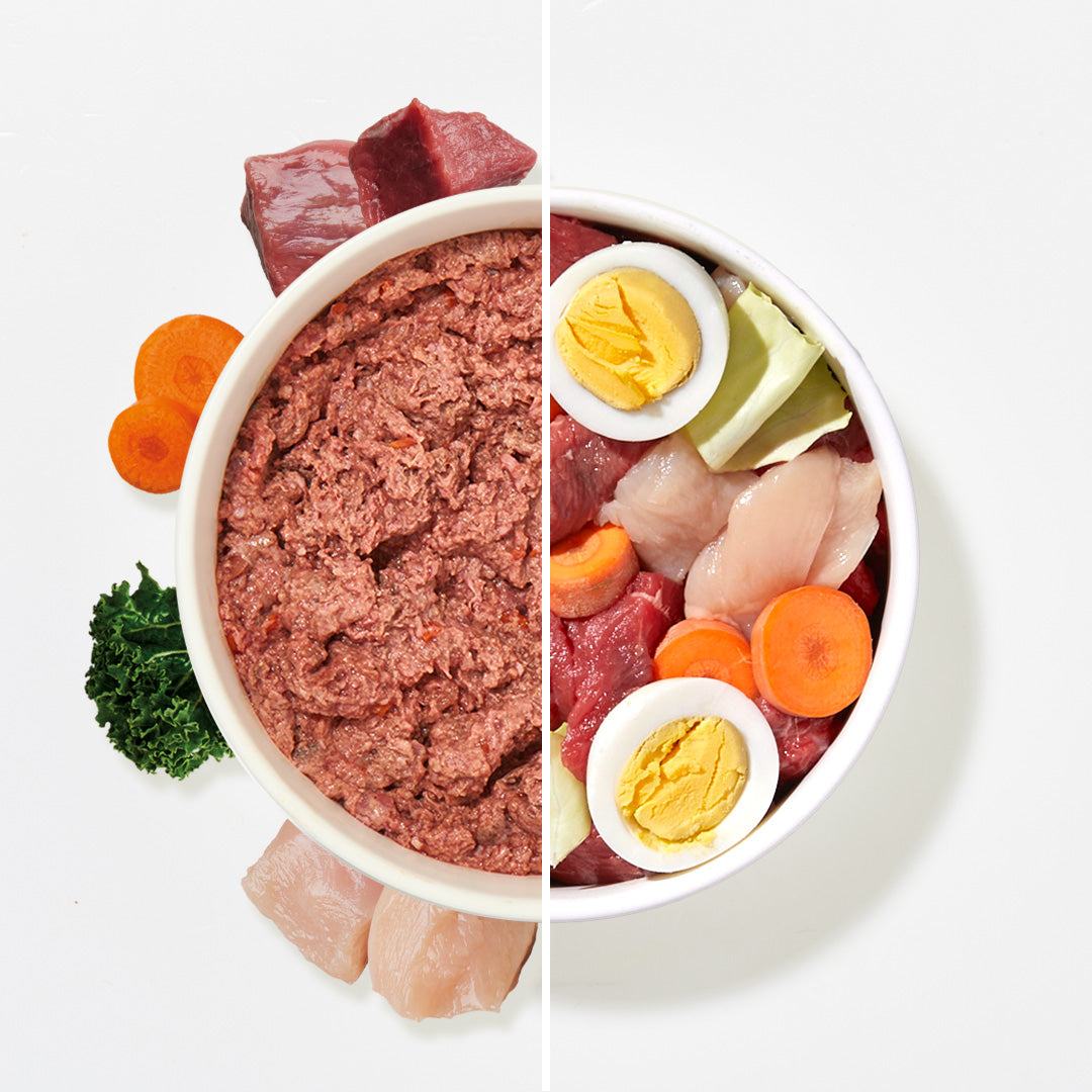 BARF Komfort Plus Rind & Huhn Welpe - haustidepoterkost.com®