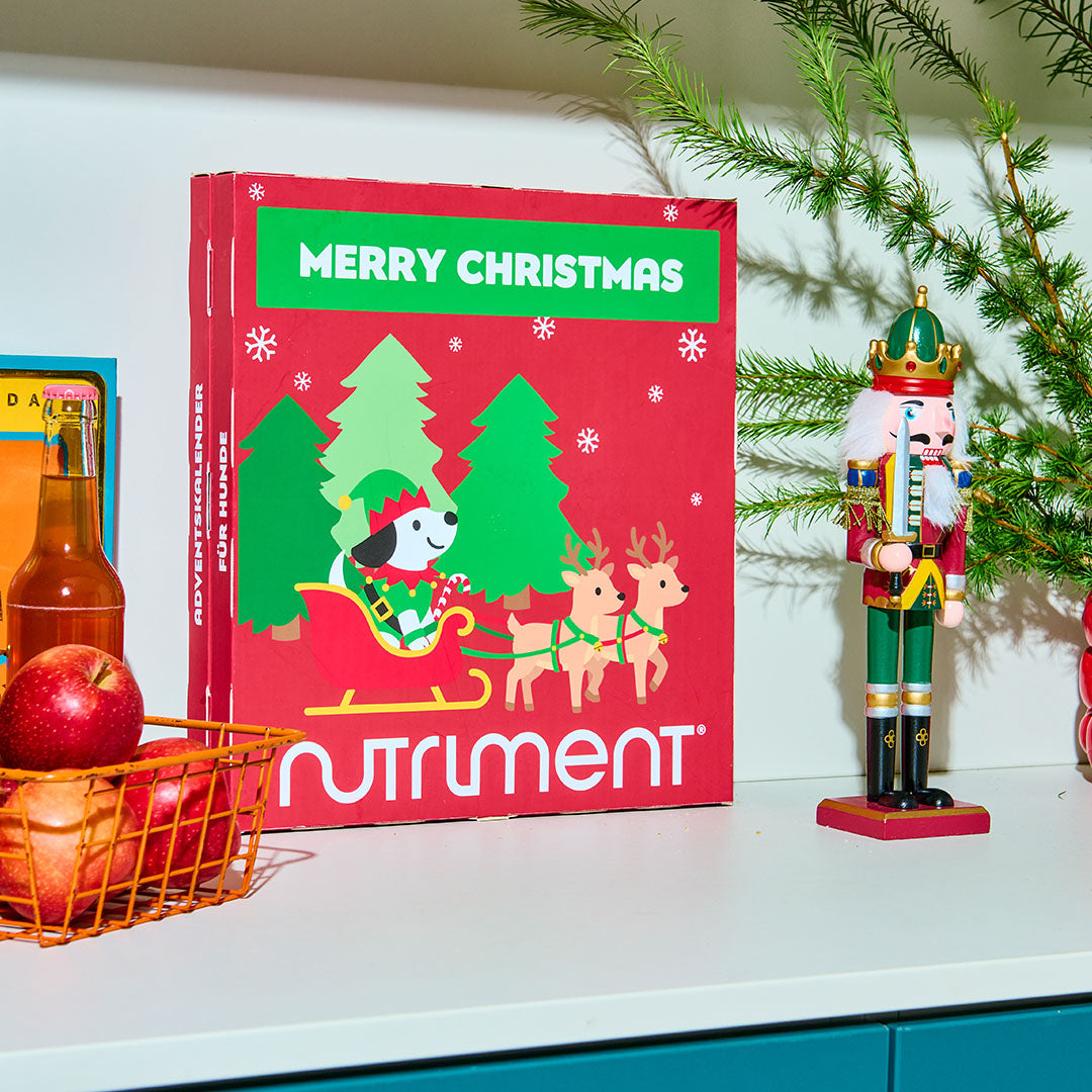 Adventskalender für Hunde