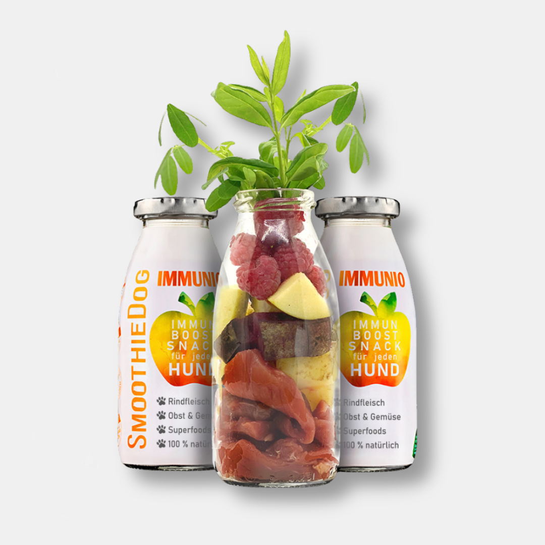 SmoothieDog® Immunio, 250 ml - haustidepoterkost.com®