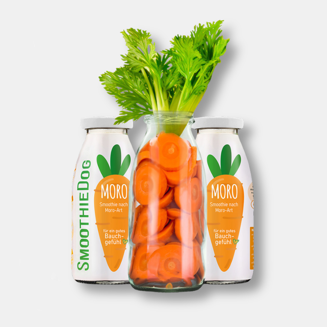 SmoothieDog® Morosche Karottensuppe, 250 ml - haustidepoterkost.com®