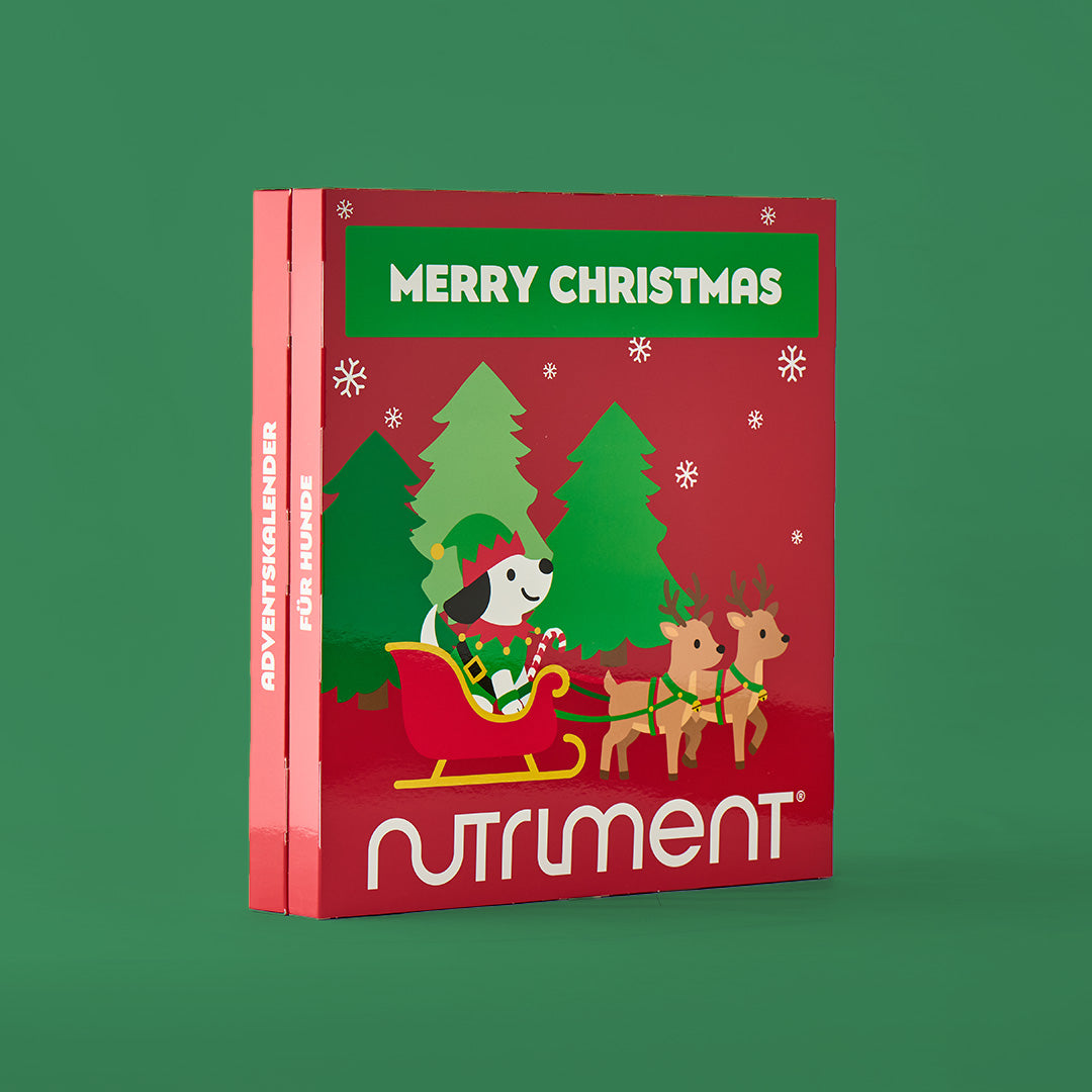 Adventskalender für Hunde - haustidepoterkost.com®