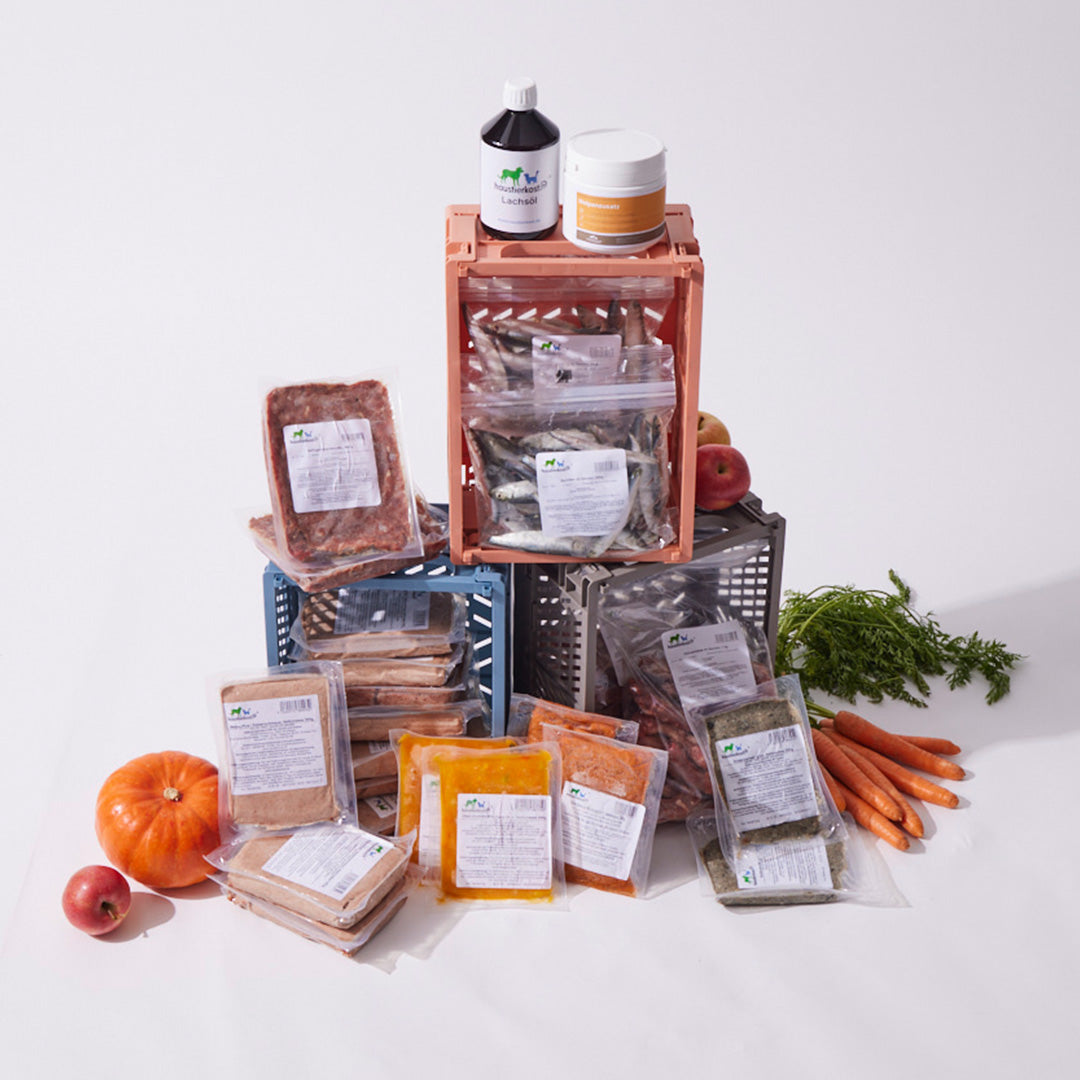 Welpenbox 3 (2025) - haustidepoterkost.com®