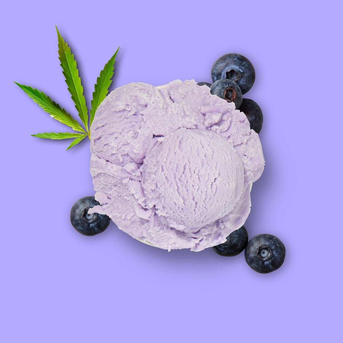 Nutriment HundeEis Hanf & Blaubeere - haustidepoterkost.com®