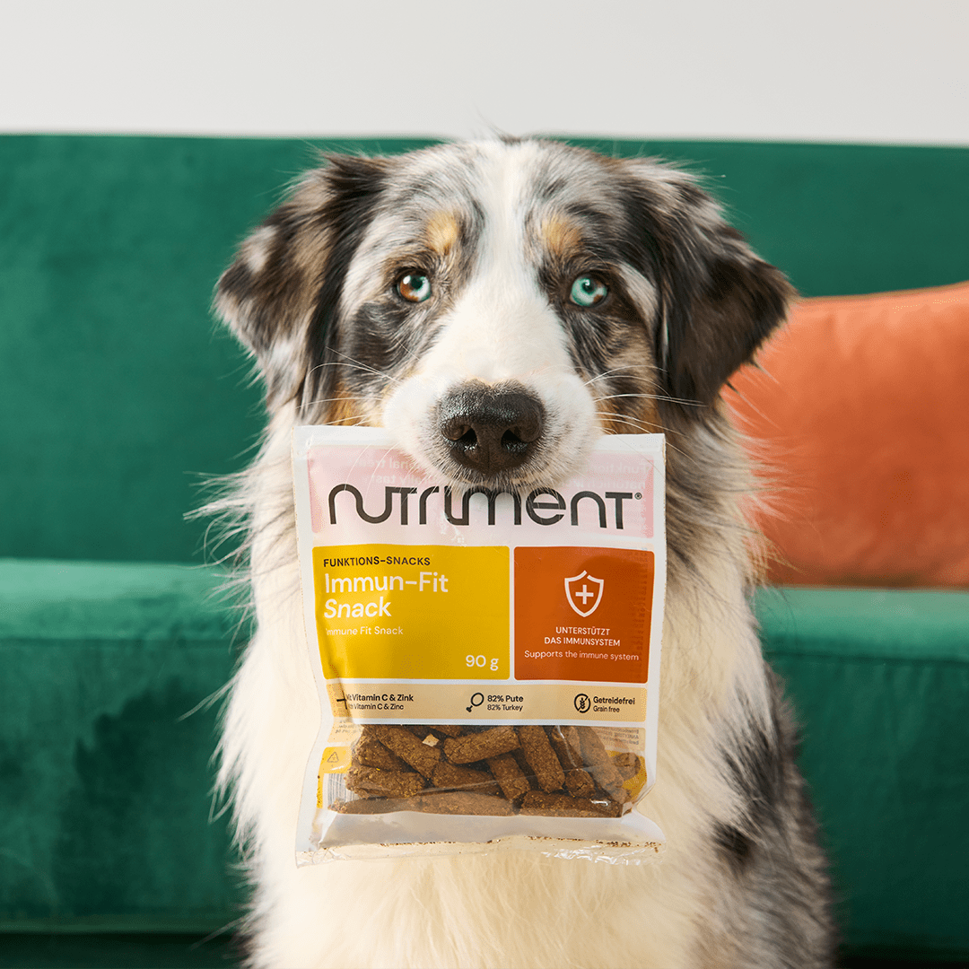 Nutriment Immun-Fit Snack - haustidepoterkost.com®